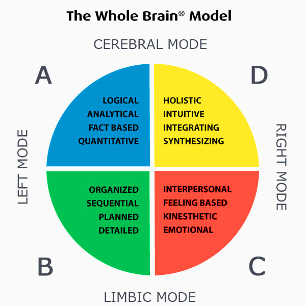 Hbdi Whole Brain Thinking Denkstilanalyse EEUKQZ